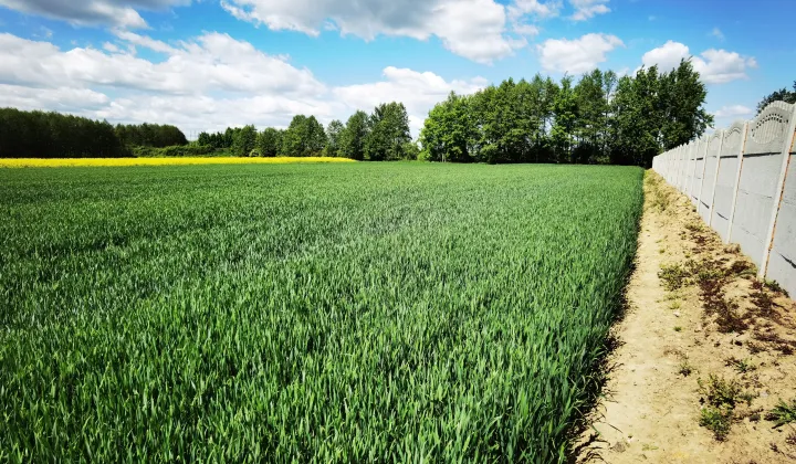 Działka budowlana Nowa Wieś Kącka, Letnia