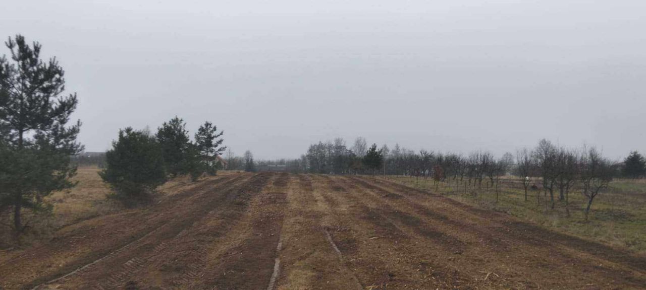 Działka rolno-budowlana Ninków. Zdjęcie 5
