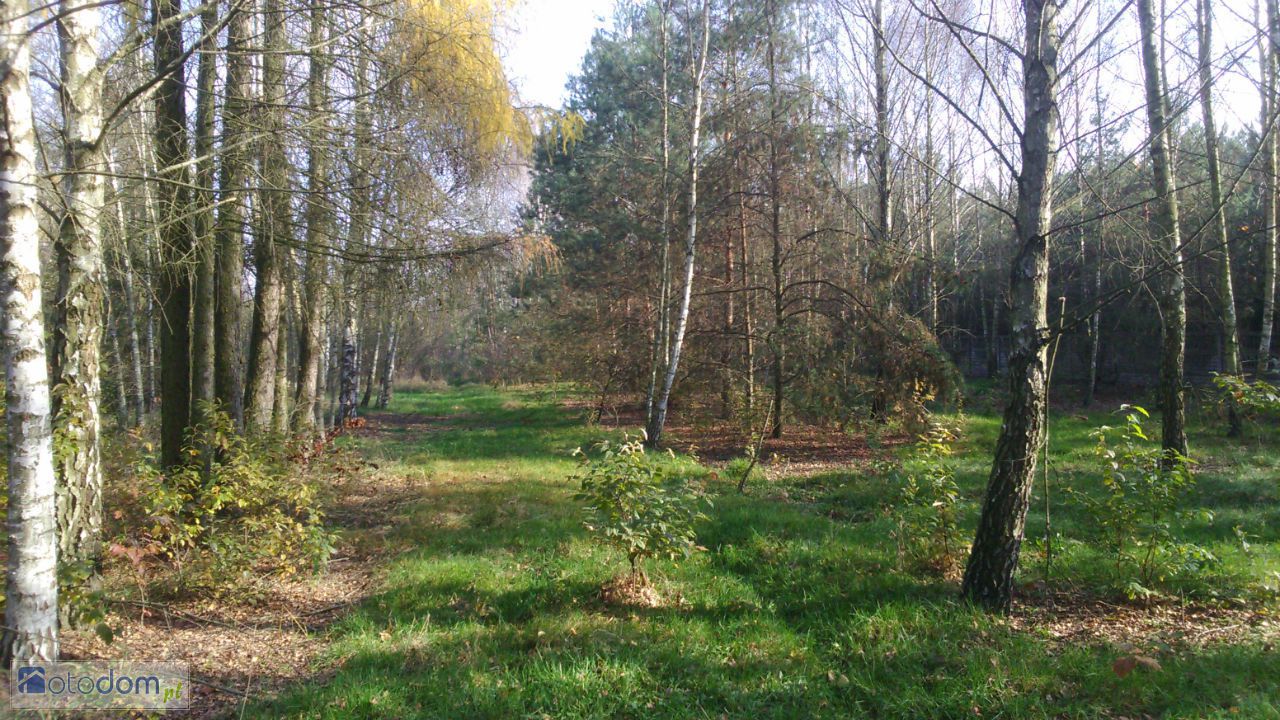 Działka budowlana Wola Załężna. Zdjęcie 11
