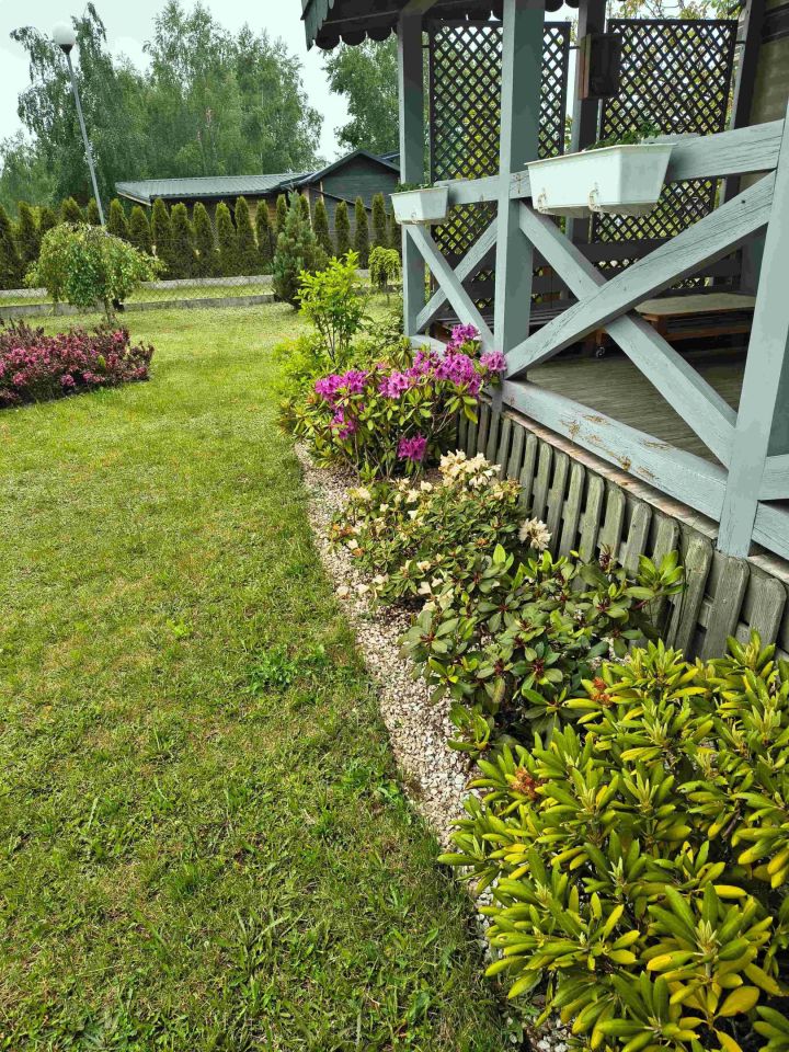 Działka rod Budy-Strzyże. Zdjęcie 2