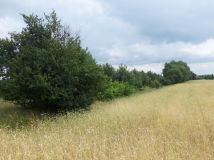 Działka budowlana Czarnkowie. Zdjęcie 3