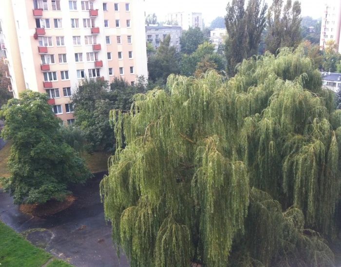 Mieszkanie 1-pokojowe Warszawa Saska Kępa, ul. Międzynarodowa. Zdjęcie 9
