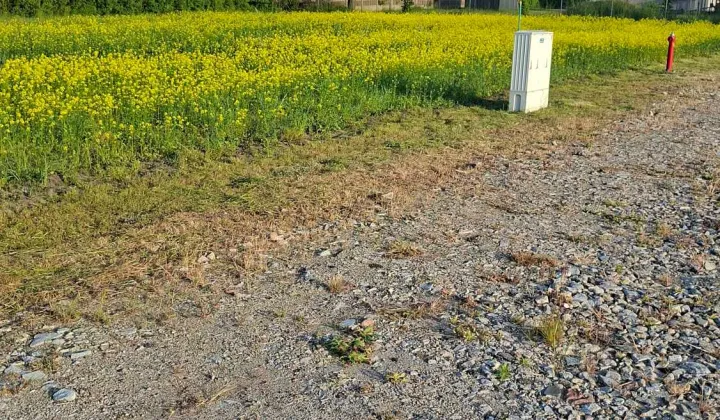 Działka budowlana Henryków, ul. Karmelowa
