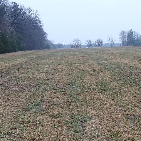 Działka budowlana Olempin. Zdjęcie 1