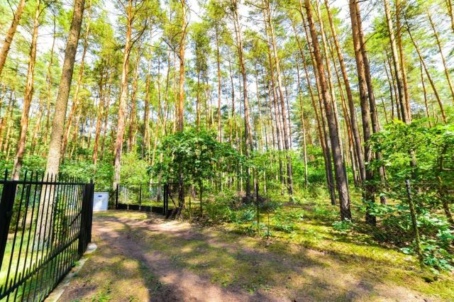 Działka rekreacyjna Poddębie. Zdjęcie 8