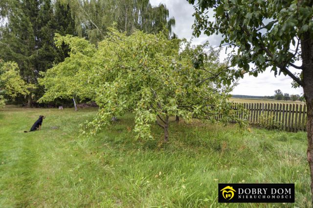 dom wolnostojący, 3 pokoje Malec. Zdjęcie 27