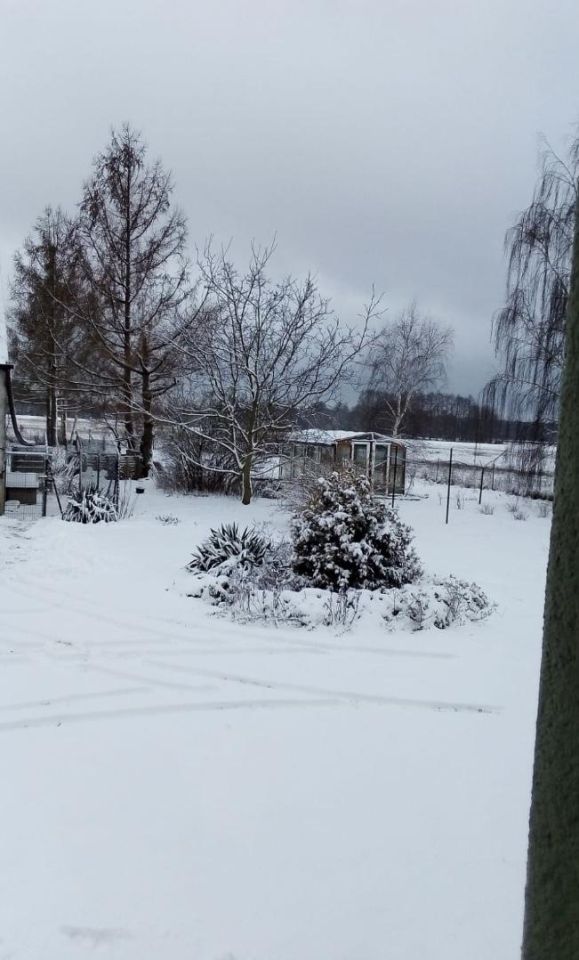 dom wolnostojący, 7 pokoi Ziębikowo. Zdjęcie 6