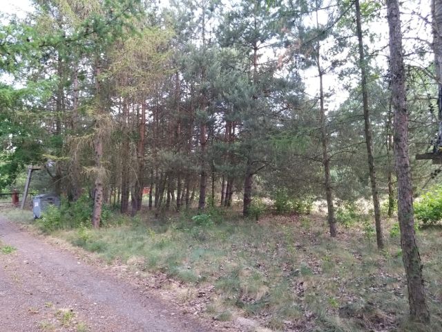 Działka budowlana Warszawice. Zdjęcie 1