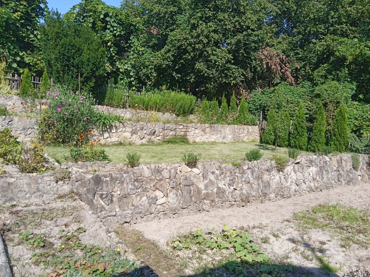 Działka rod Starachowice, ul. Nowowiejska. Zdjęcie 5