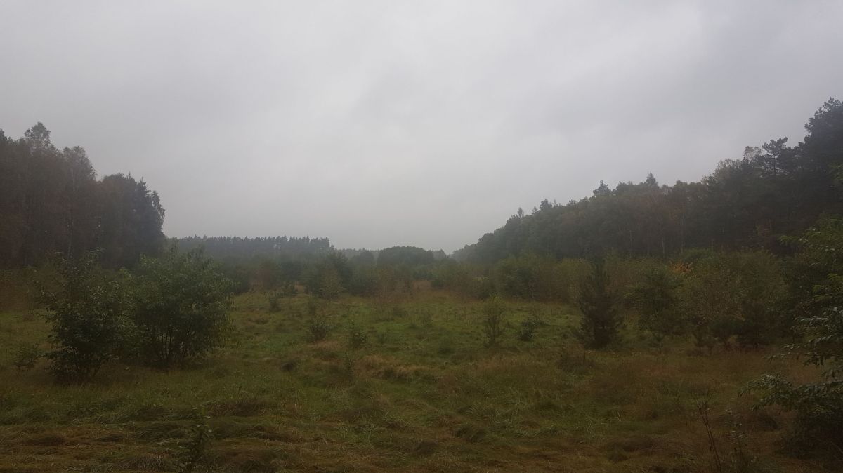 Działka rolna Piotrowo, Piotrowska. Zdjęcie 3