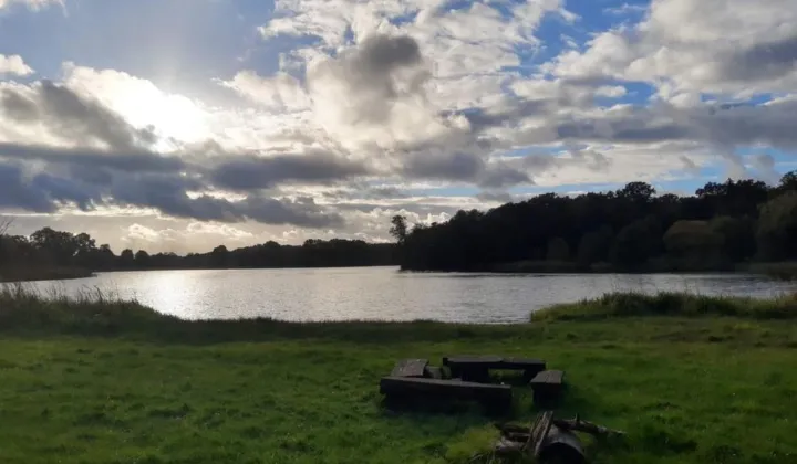 Działka rolna Juchowo