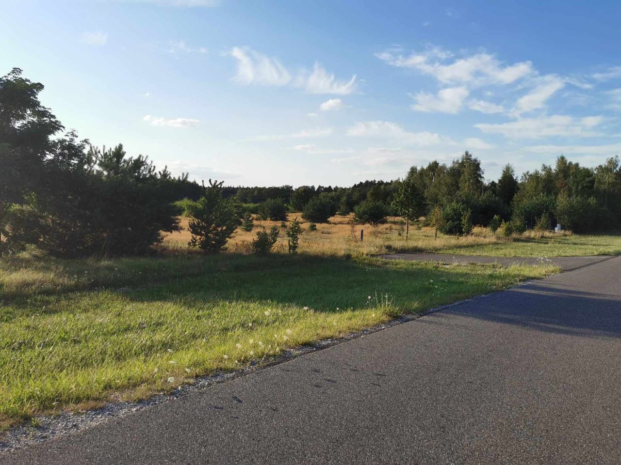 Działka siedliskowa Wymysłów Francuski. Zdjęcie 2