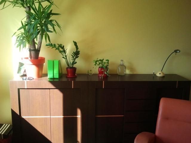 Mieszkanie 1-pokojowe Łódź Bałuty, ul. Marcina Kasprzaka. Zdjęcie 4