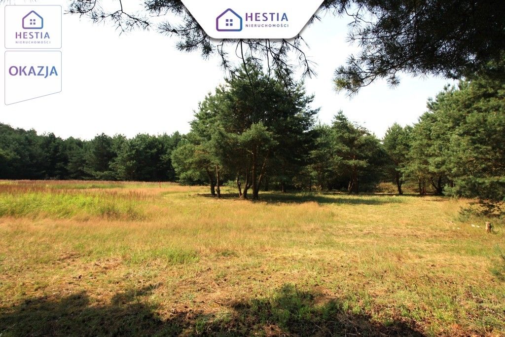 Działka rolna Szczecin Wielgowo, ul. Żywiczna. Zdjęcie 2