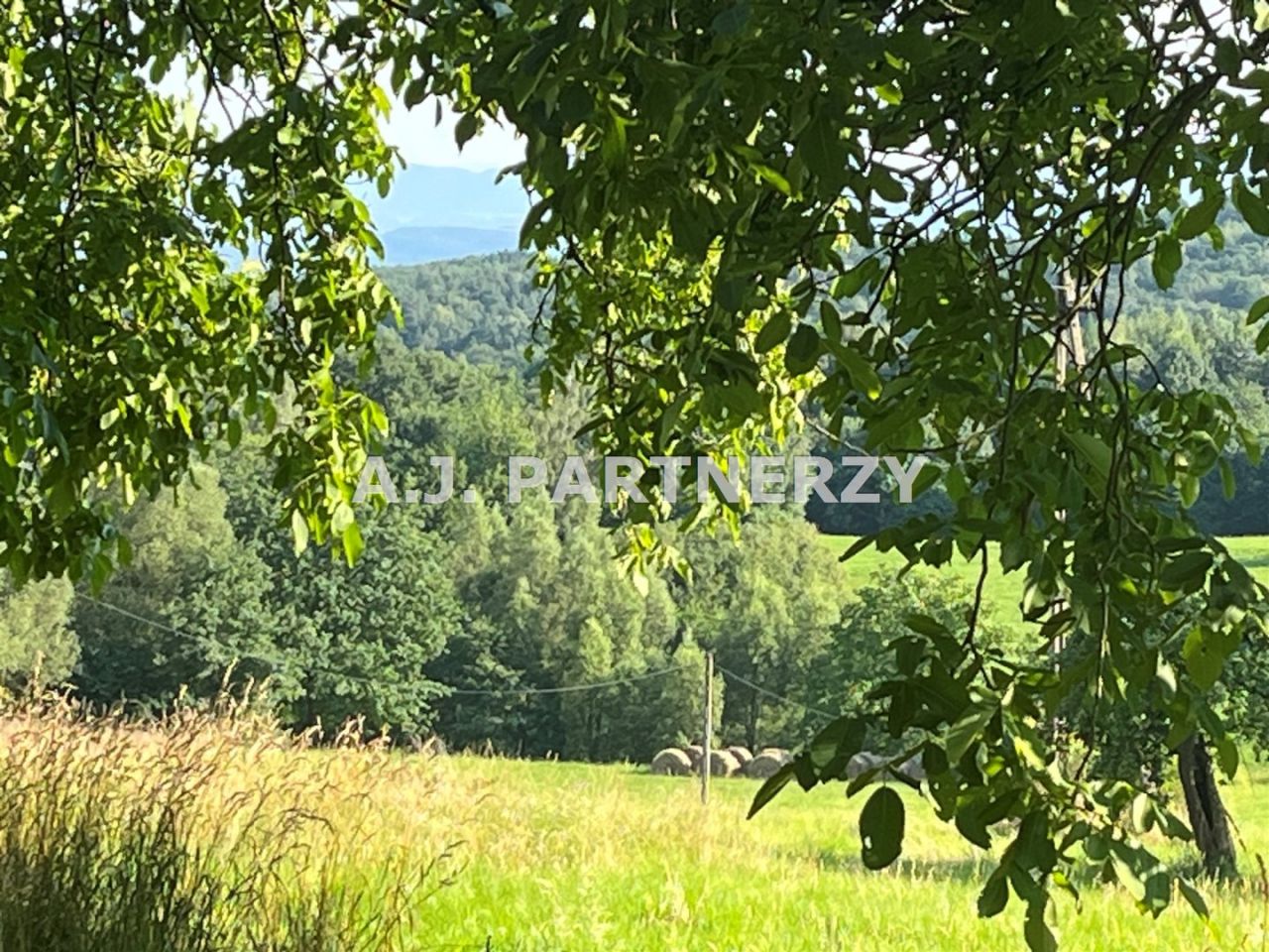 Działka budowlana Grajów. Zdjęcie 9