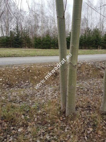 Działka budowlana Żelechów, ul. Topolowa. Zdjęcie 6