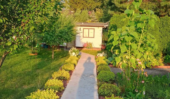 Działka rod Łódź Olechów