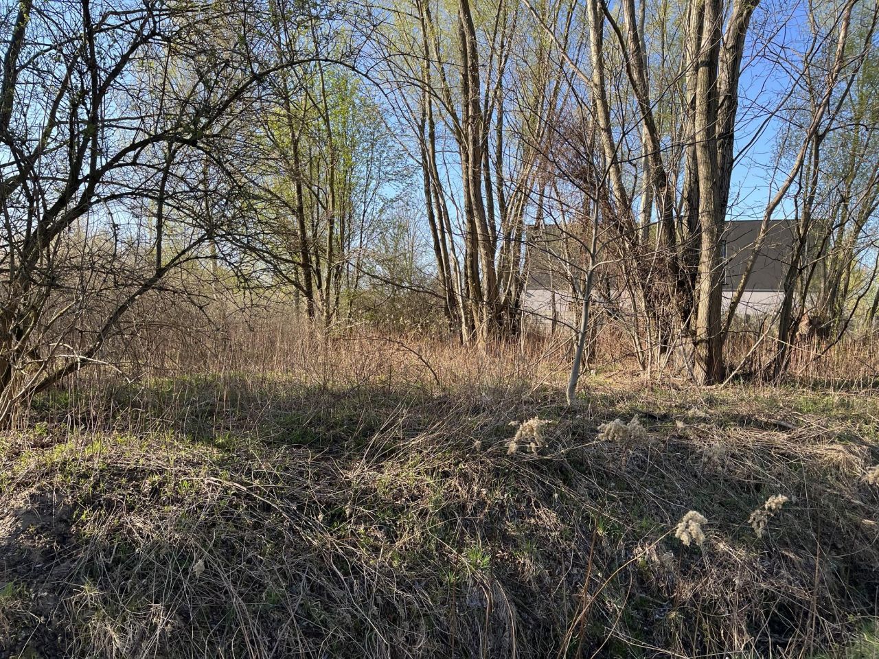 Działka budowlana Klaudyn, ul. Henryka Mikołaja Góreckiego. Zdjęcie 2