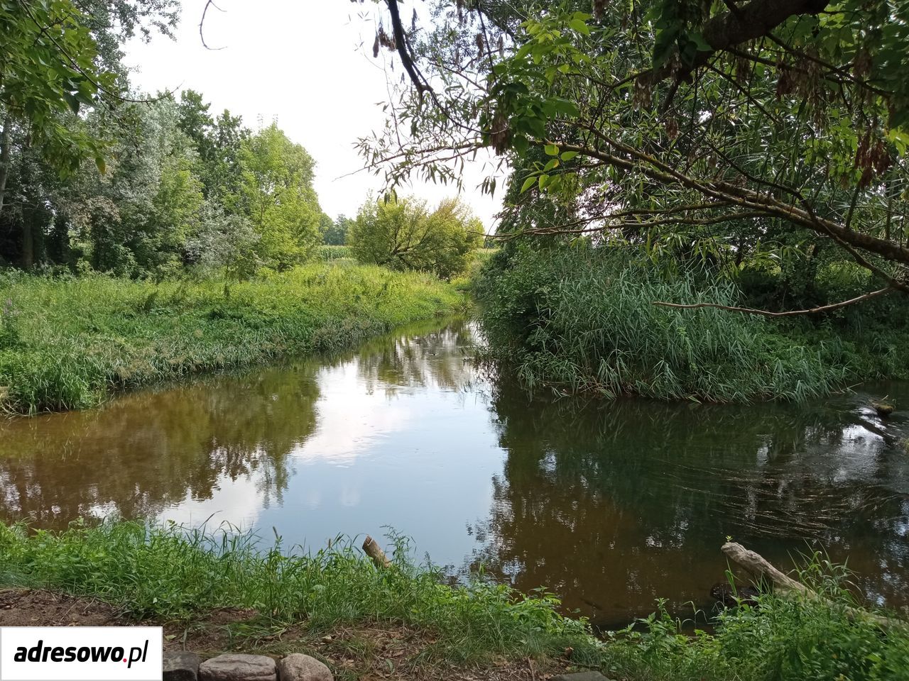 Działka rekreacyjna Nowe Kęszyce. Zdjęcie 2