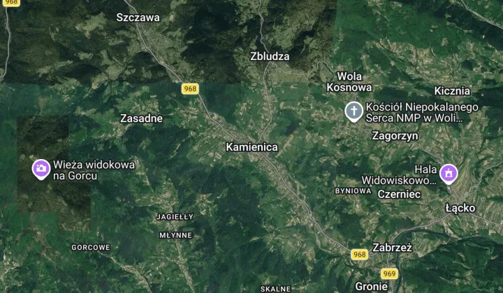 Działka leśna Kamienica