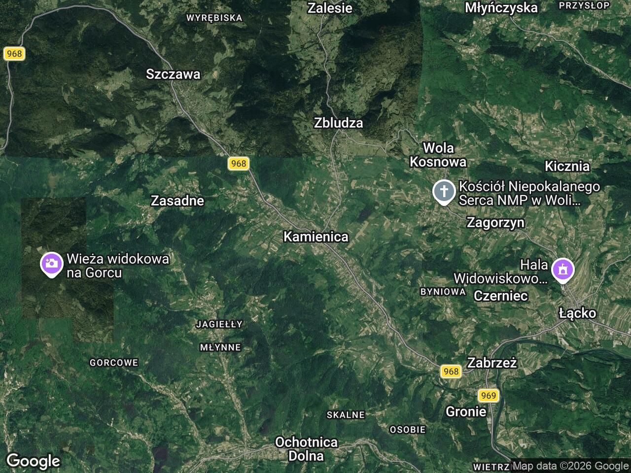 Działka leśna Kamienica. Zdjęcie 1