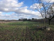 Działka rolno-budowlana Worów. Zdjęcie 4