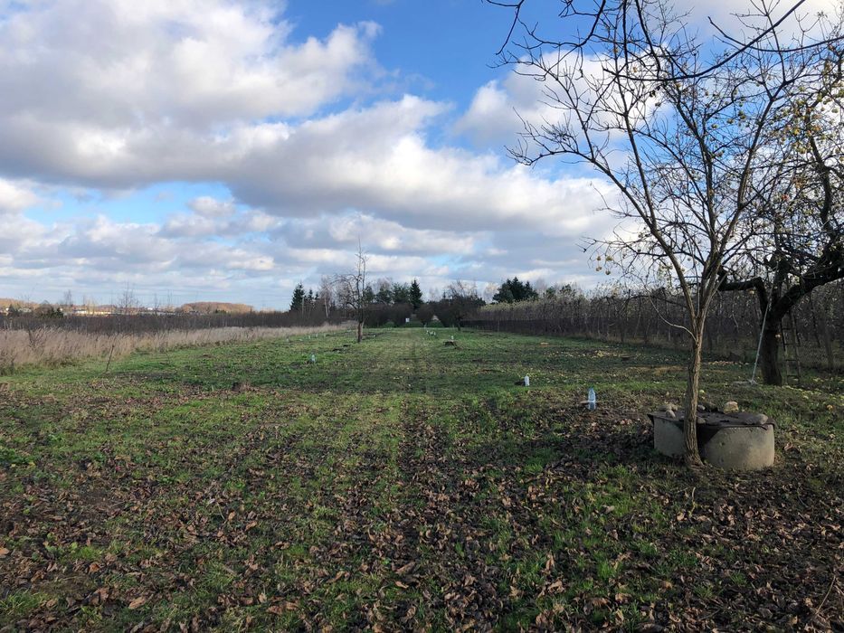 Działka rolno-budowlana Worów. Zdjęcie 5