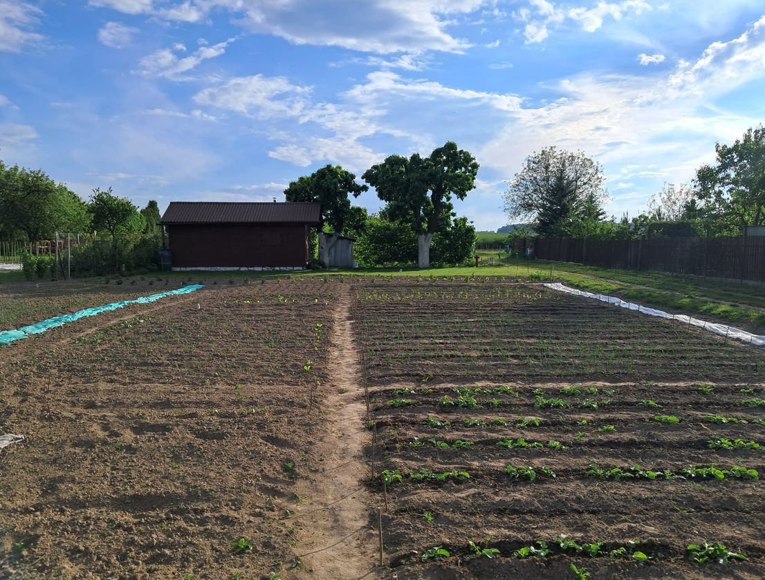 Działka budowlana Mętów. Zdjęcie 4