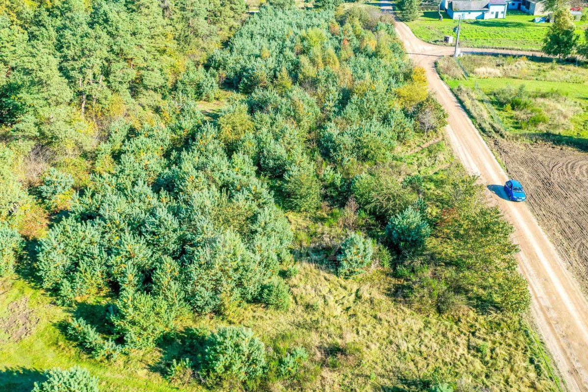 Działka inwestycyjna Łebcz, ul. Polna. Zdjęcie 11