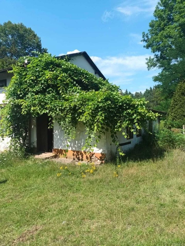 gospodarstwo Ponik, ul. Wczasowa. Zdjęcie 8