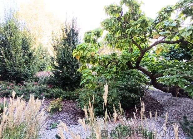 Mieszkanie 1-pokojowe Warszawa Śródmieście, ul. Ciasna. Zdjęcie 5