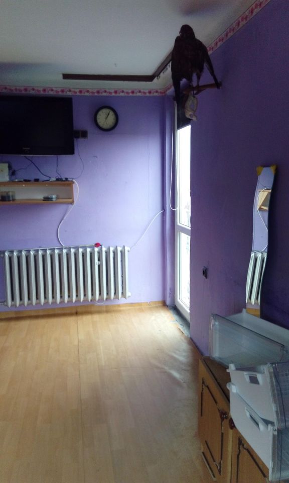 Mieszkanie 1-pokojowe Hulcze osada. Zdjęcie 21