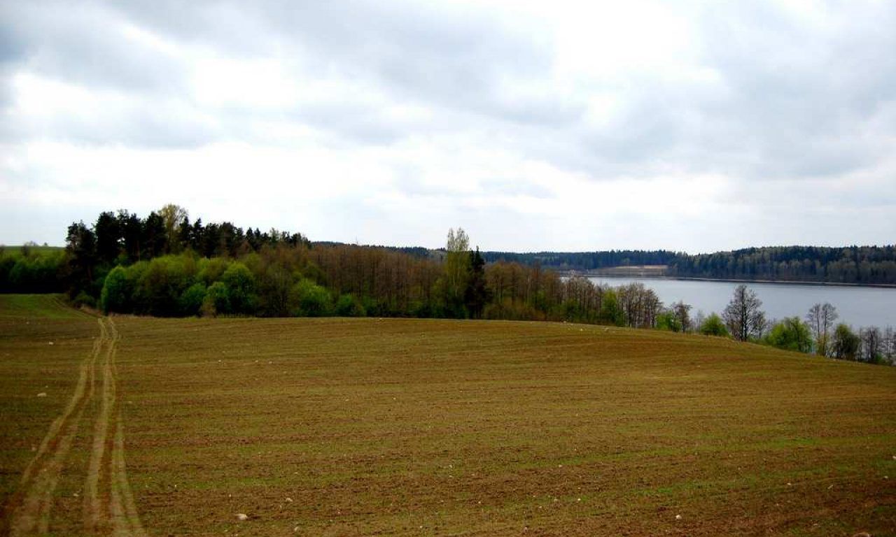 Działka rolna Ramsowo. Zdjęcie 7