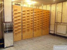 Lokal Tomaszów Mazowiecki, ul. św. Antoniego. Zdjęcie 2