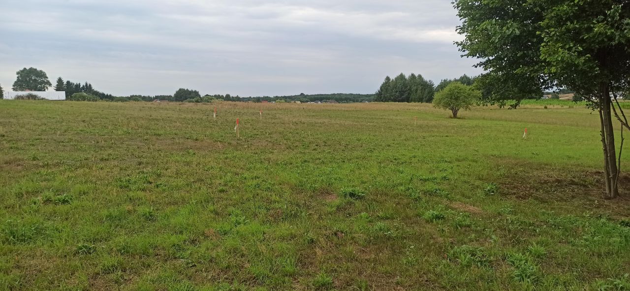 Działka budowlana Tołcze, ul. Leszczynowa. Zdjęcie 9