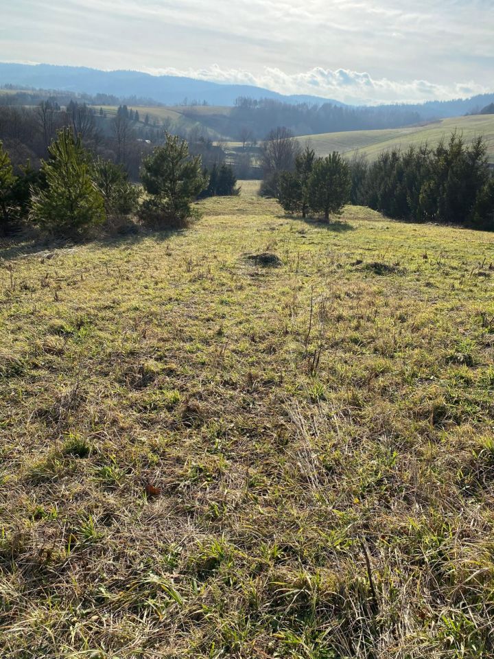 Działka rolno-budowlana Hoczew. Zdjęcie 8