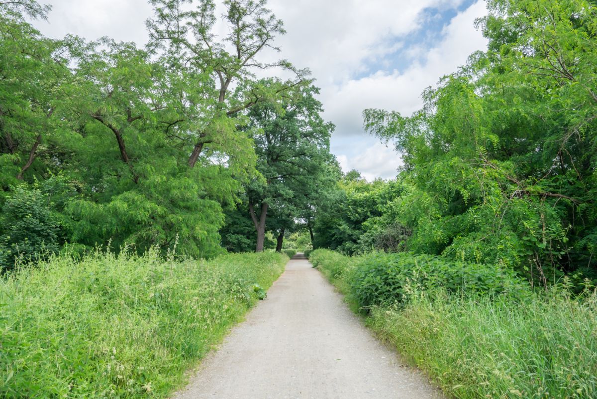 Mieszkanie 3-pokojowe Wrocław Osobowice, ul. Osobowicka. Zdjęcie 12