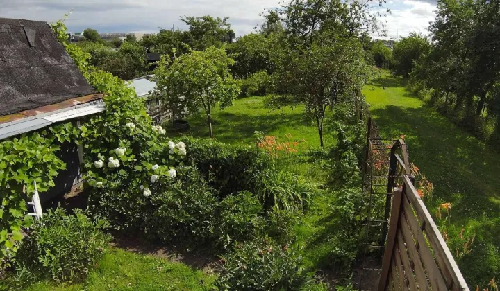 Działka rod Olsztyn, al. Aleja Generała Władysława Sikorskiego