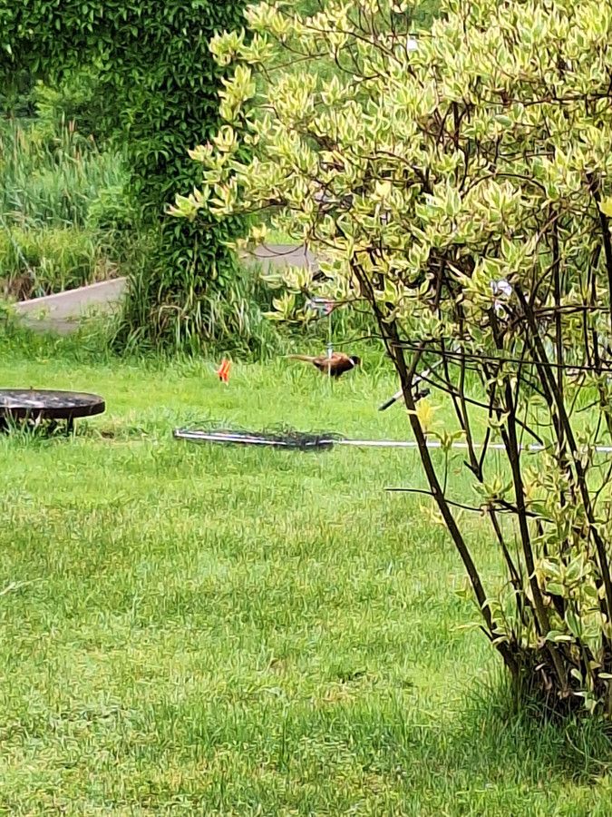 Działka Strzygi. Zdjęcie 14