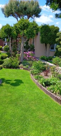 Działka rod Bydgoszcz, ul. Inwalidów. Zdjęcie 1