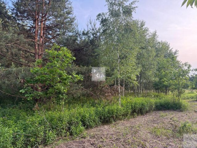 Działka rekreacyjna Radawa, ul. Cienkie. Zdjęcie 13