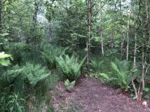 Działka budowlana Koszalin, ul. Lubiatowska. Zdjęcie 1