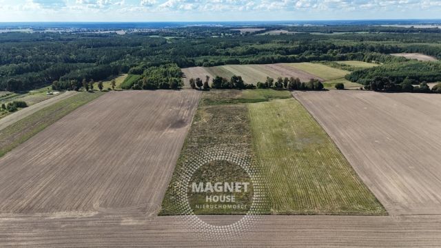 Działka rolna Rutwica. Zdjęcie 6