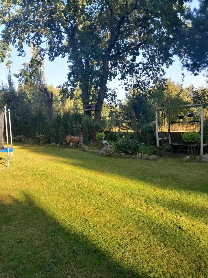 Działka rekreacyjna Strzeszewo. Zdjęcie 5