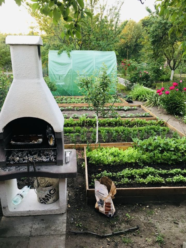 Działka rod Wrocław Śródmieście, ul. Rakowiecka. Zdjęcie 2