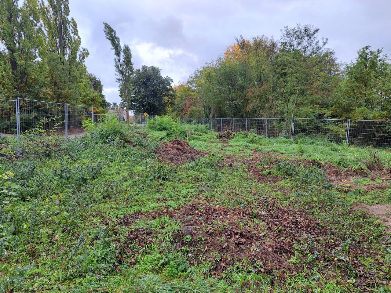 Działka inwestycyjna Gubin, ul. Piastowska. Zdjęcie 17