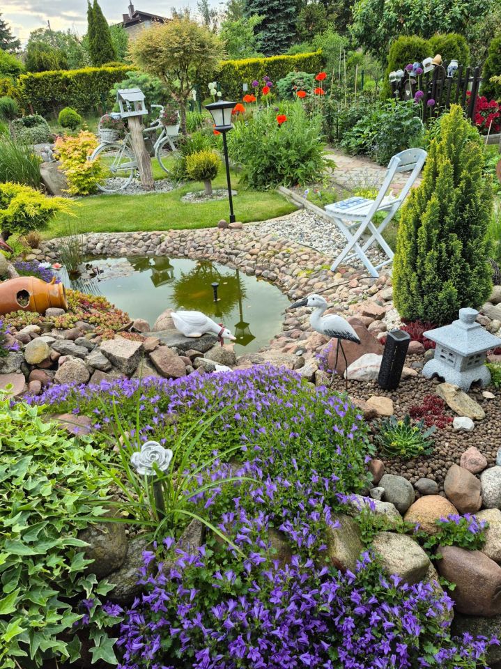 Działka rod Ostrów Wielkopolski. Zdjęcie 5