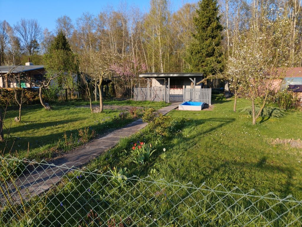 Działka rod Zabrze. Zdjęcie 4