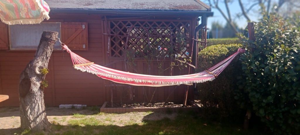 Działka rod Strzelno. Zdjęcie 3