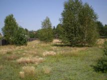 Działka rolno-budowlana Kaszewiec. Zdjęcie 4